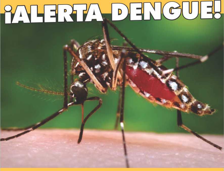 Dengue: Síntomas y medidas de prevención frente al alerta por el aumento de casos