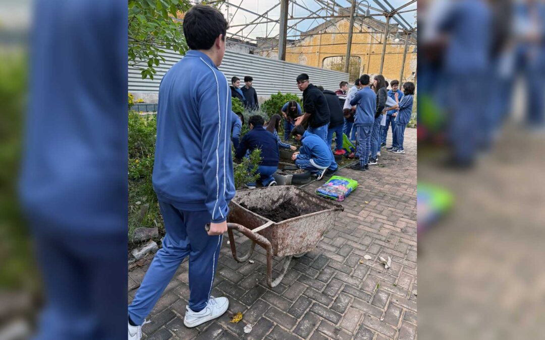 Biocorredores En La Comuna 10